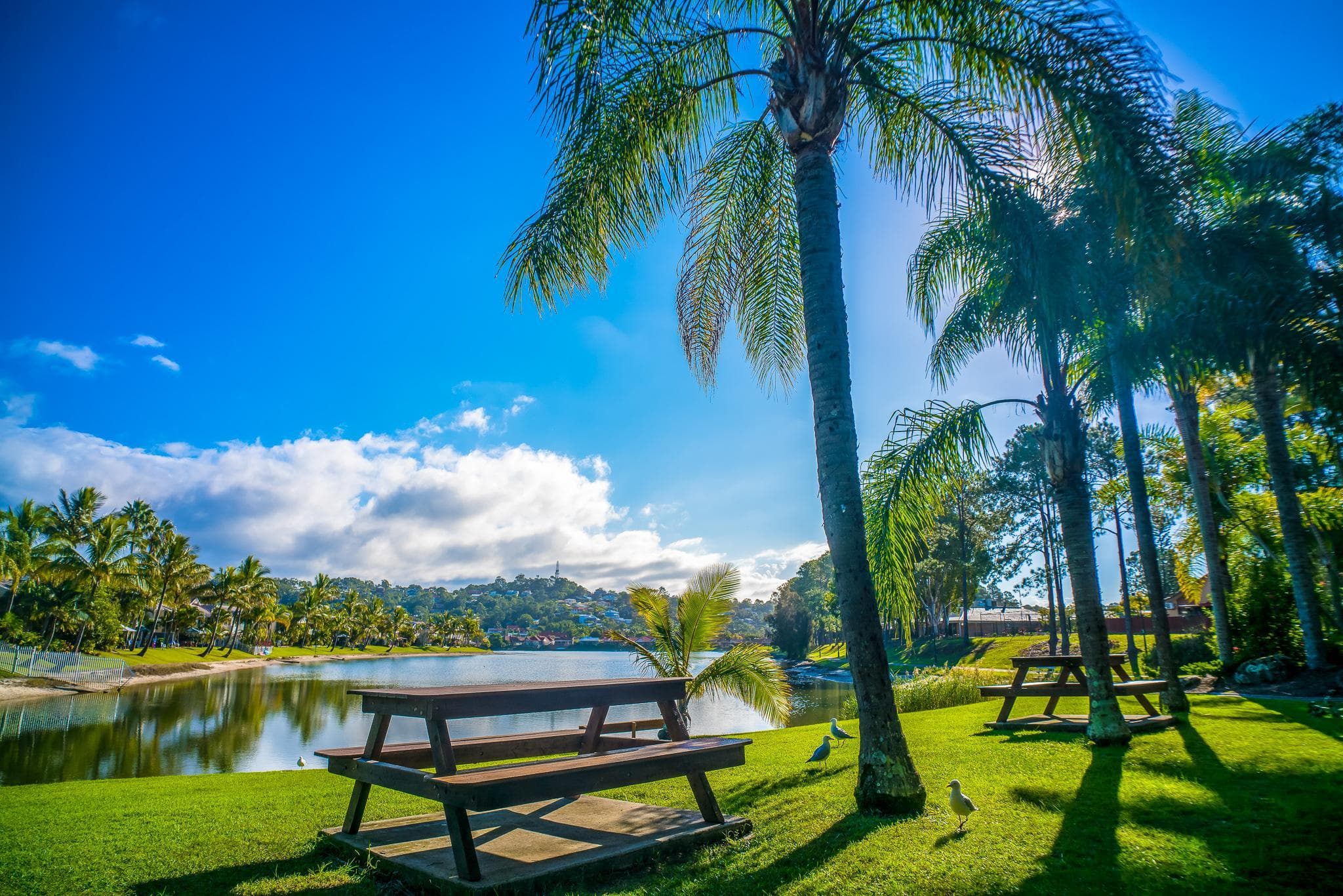 Bay of Palms Resort
