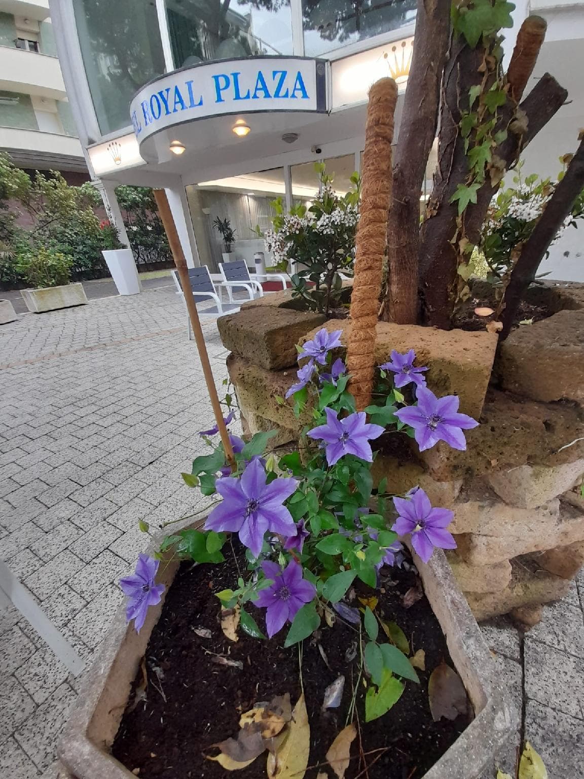 Hotel Royal Plaza
