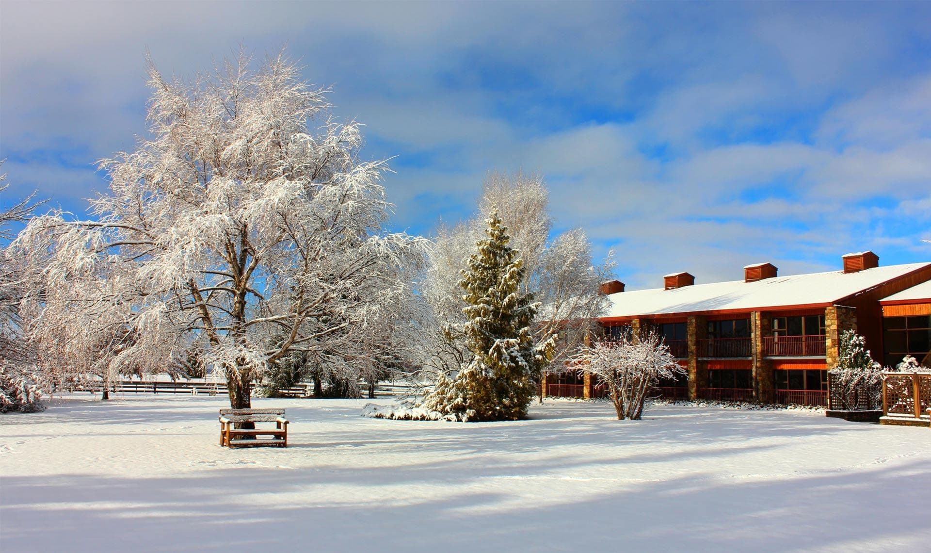 Distinction Mackenzie Country Hotel Twizel